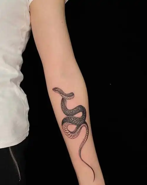 蛇纹身图片_手臂new school纹身图案