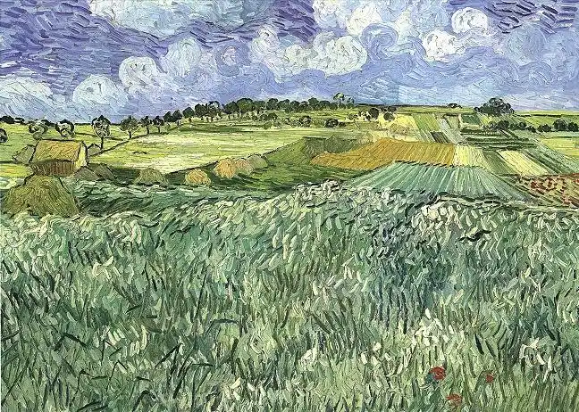 plain near auvers 梵高油画作品,无水印高清大图 - 麦田艺术