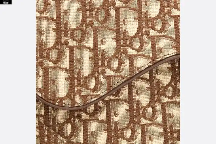 【包邮包税】 dior迪奥 21年春夏 女士 手提包 马鞍包-棕色-oblique