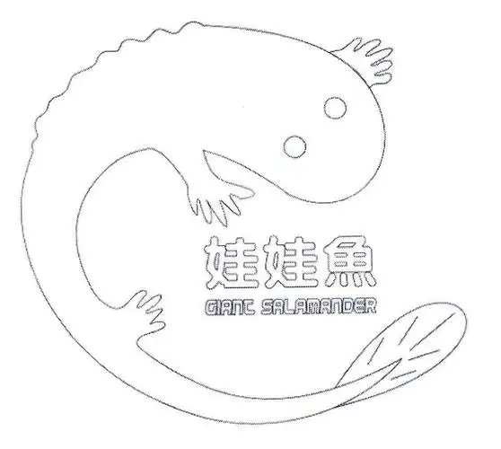 娃娃鱼  em>gianc /em> salamander