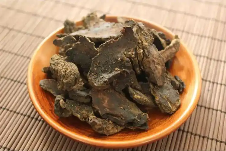 地黄的功效与作用图片(生地黄) - 赤虎壹号