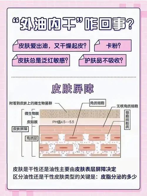 皮肤干燥又爱出油的原因