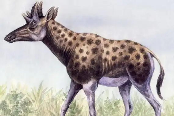 长颈鹿的祖先是什么动物外形像马和鹿脖子并不长