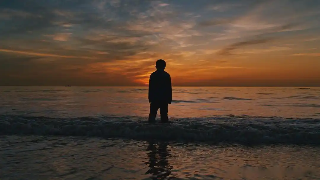 第二届海南岛国际电影节"万象中国"展映单元之当代甄