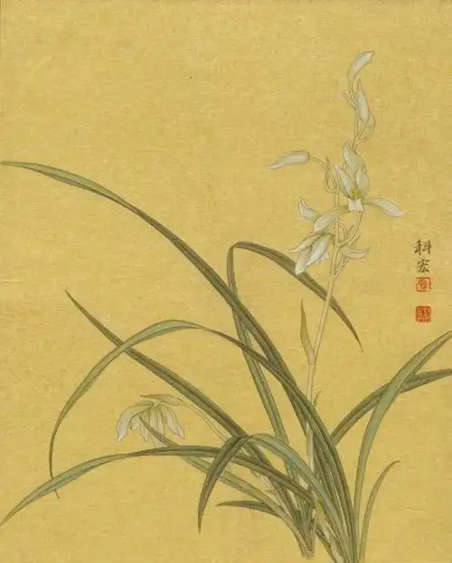 幽谷兰香——国画工笔兰花