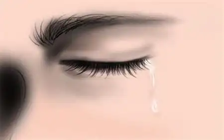 男人一生只有一滴眼泪读后感150字【共5篇】