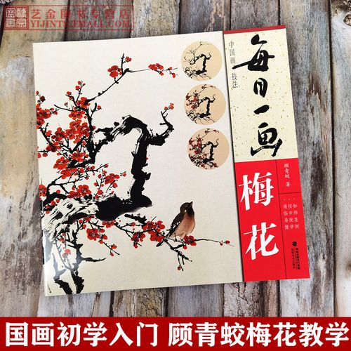 每日一画梅花 顾青蛟写意梅花中国画技法 零基础梅花画法国画初学技法