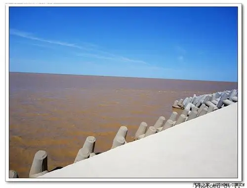 峰行天下vii----黄河入海口,畅游湿地