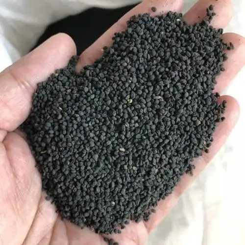 黄芩种子,色选无杂质,纯新种子 120.00 元/斤