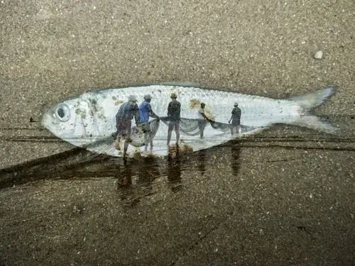 过度捕捞导致海洋鱼类资源严重匮乏