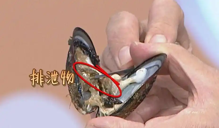 预防海鲜中毒,这份海鲜安全食用提示请收下