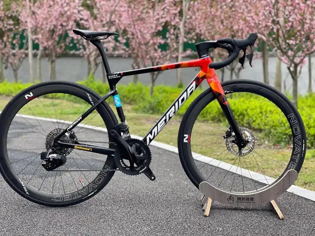 美利达斯特拉1000.美利达斯特拉1000巴林胜利队版涂装  - 抖音