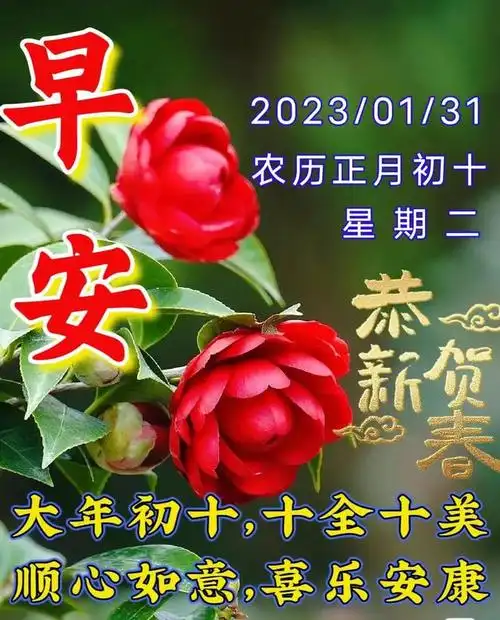 大年初十早安暖心祝福图片问候语,正月初十早上好问候语拜年祝福短语