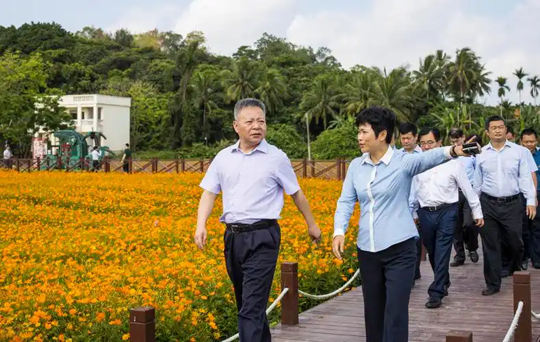 沈晓明:精细化做好年会服务保障工作 -- 精彩图集 -- 2019博鳌亚洲