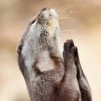 欧美双手合十祈祷头像_微信头像图片大全