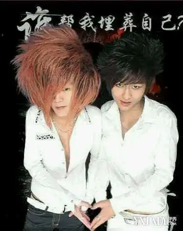 嫉妒的农村杀马特,隐退后有人养猪有人开工厂