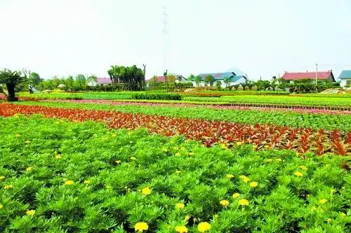 桂林市叠彩区专文:立地起跳开启"黄金五年"-房产新闻-桂林搜狐焦点网