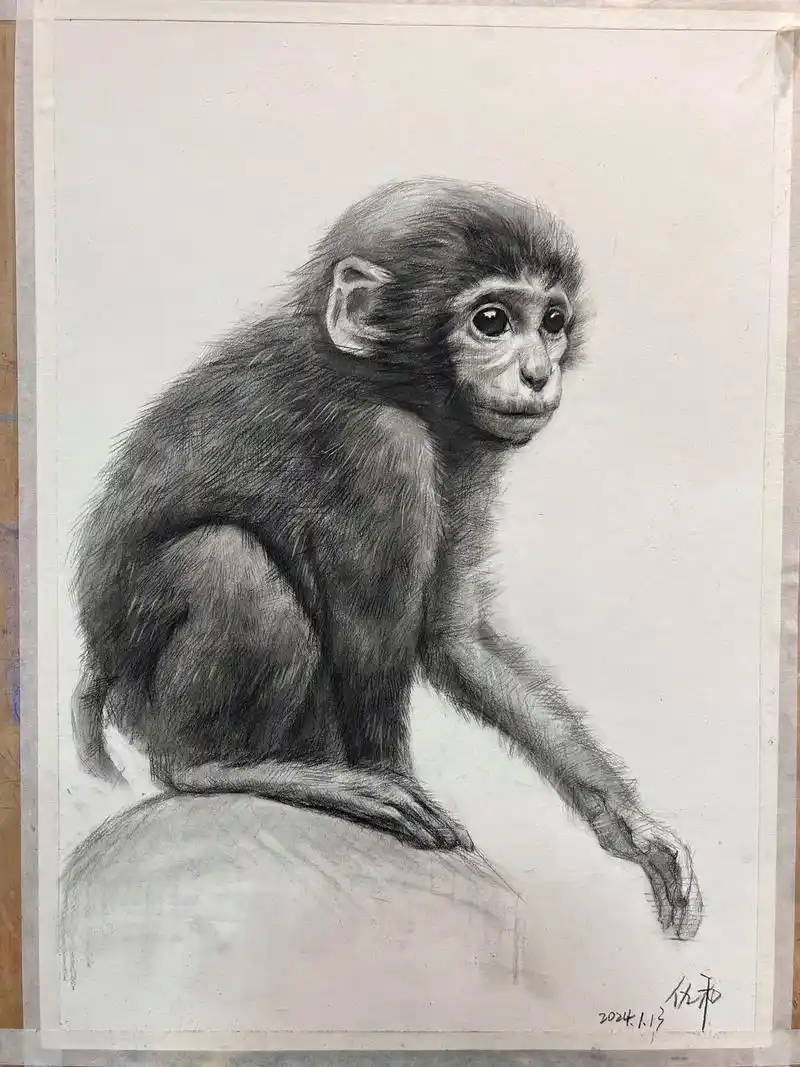 画个猴子#素描 #美术生 #临摹 #一起学画画 - 抖音