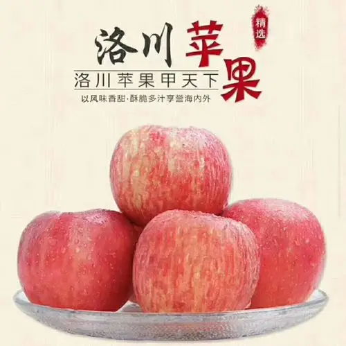 洛川苹果甲天下