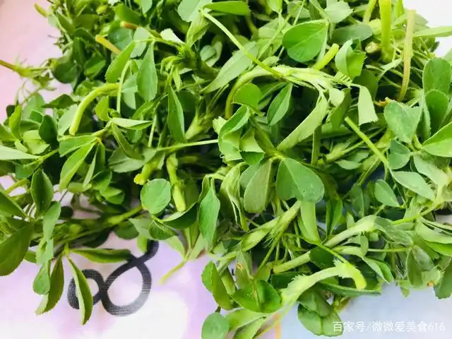 春季,吃野菜喽～凉拌苜蓿!