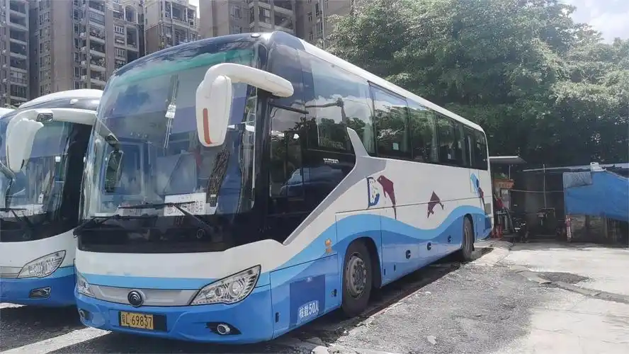 惠州市青年国际旅行社-惠州市青年国际旅行社