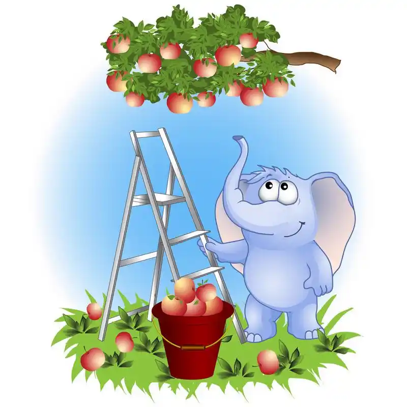有趣的大象,大象收集苹果