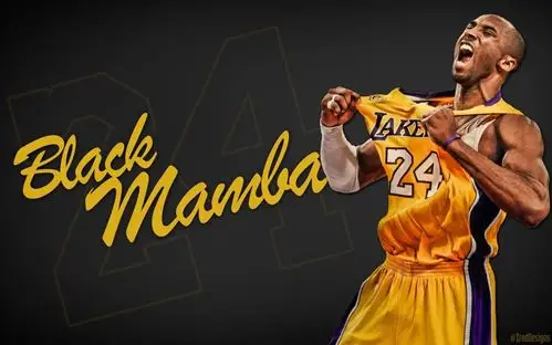 篮球壁纸曼巴精神电脑版科比大图