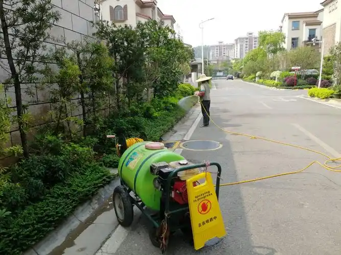 修剪天地,粉黛乾坤让植物跳舞,让绿化歌唱!云浮碧桂园绿化周简报