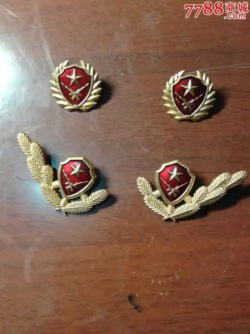 武*士兵冬夏常服领花