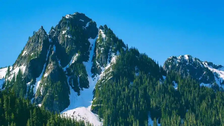 雪山 山峰 森林壁纸
