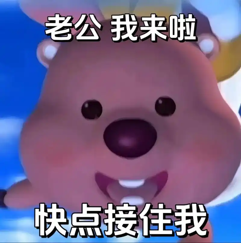 老公我来啦.快点接住我 #loopy表情包 #发给对象表情包 - 抖音