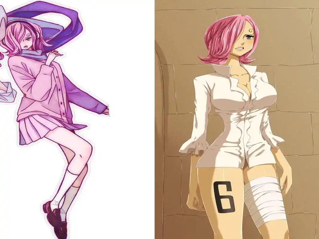 槙阳子公布《海贼王》校园恋爱漫画,大妈爱上路飞,汉库克很吃醋