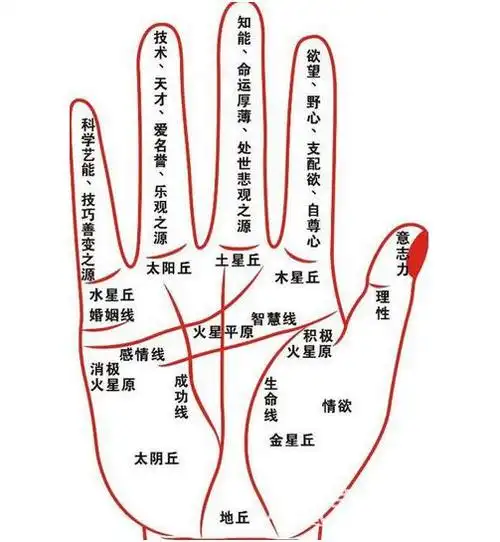 随着年龄的增长,所从事的行业不同,手指的软硬程度也不相同,下面周易