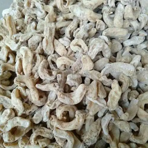 康县人工种植天麻