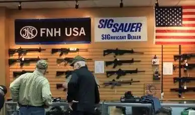 美国伊利诺伊州超11万人被禁拥枪 多数未交枪