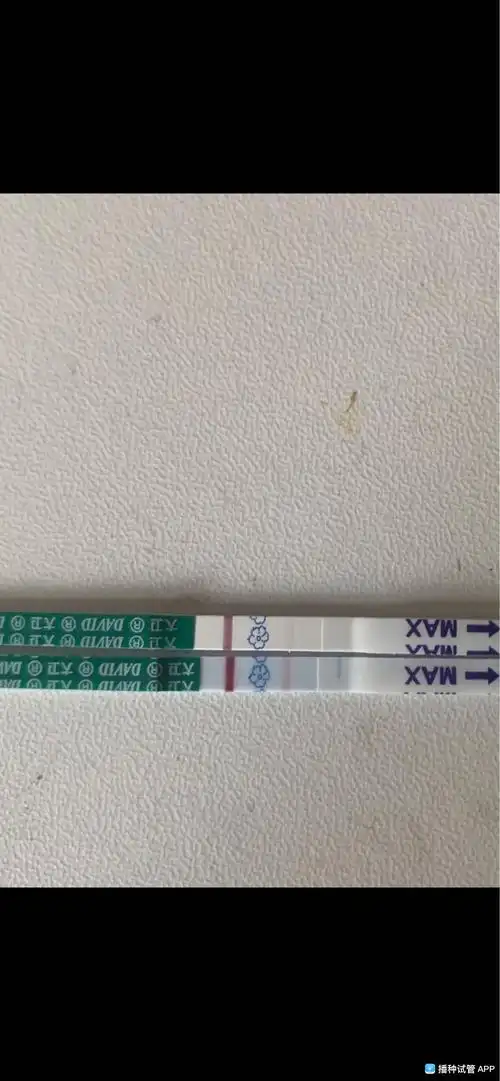 [试管婴儿]移植三天鲜胚第十天,这个颜色算