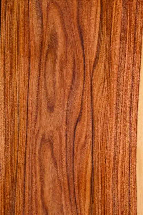 当前位置: 首页 > 装饰装修 > 材质贴图 > 木纹木材 > 当前作品   六