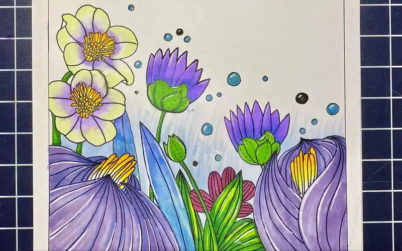 儿童简笔画:出淤泥而不染,这几朵睡莲看着不错哦