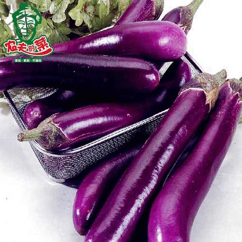 商品详情 茄子是为数不多的紫色蔬菜之一,也是餐桌上十分常见的蔬菜.