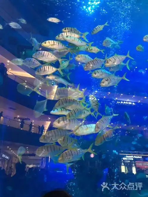 海滨城浩海立方海洋馆-图片-双流区周边游-大众点评网