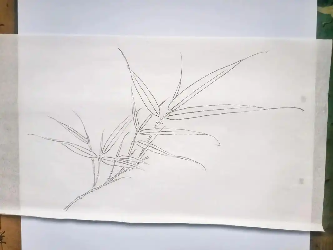 "无肉使人瘦,无竹令人俗"#国画 #白描 #每日一练 #竹子 - 抖音