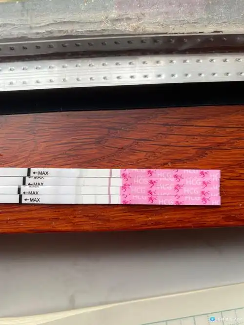 [试管婴儿]19号移植的鲜胚!有三天连着测