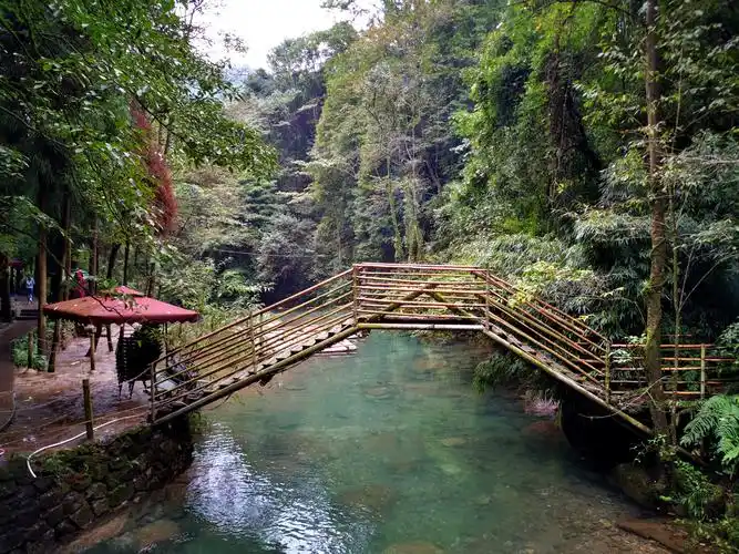青城后山五龙沟景区