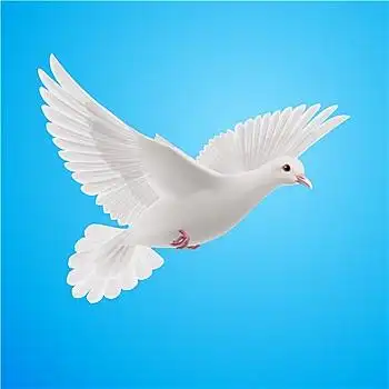 和平主义图片_和平主义图片大全_和平主义图片素材