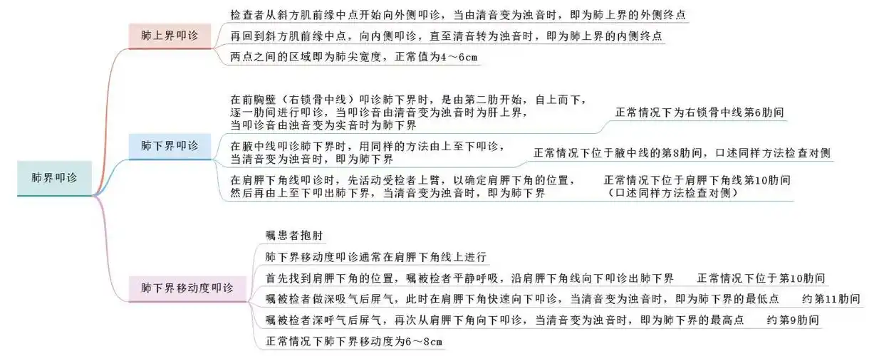 体格检查——肺界叩诊,肺下界移动度叩诊