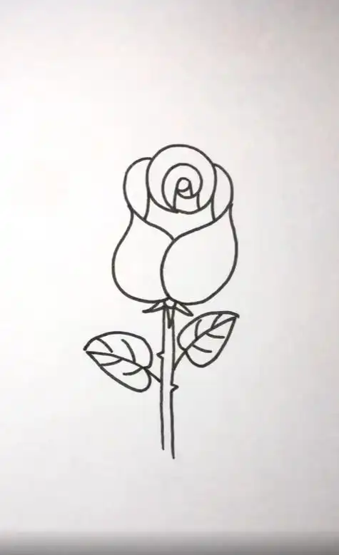 适合儿童画的玫瑰花简笔画