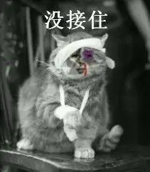 没接住 - 斗图表情包 - 斗图神器 - adoutu.com
