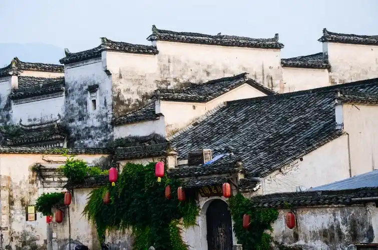 祠堂3幢,牌坊1座,保存完好的明清古民居建筑224幢,大量的砖,木,石雕等