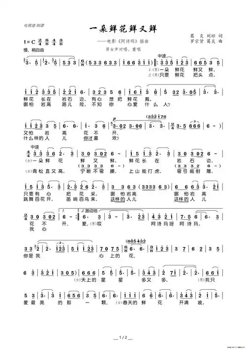 一朵鲜花鲜又鲜电影阿诗玛插曲