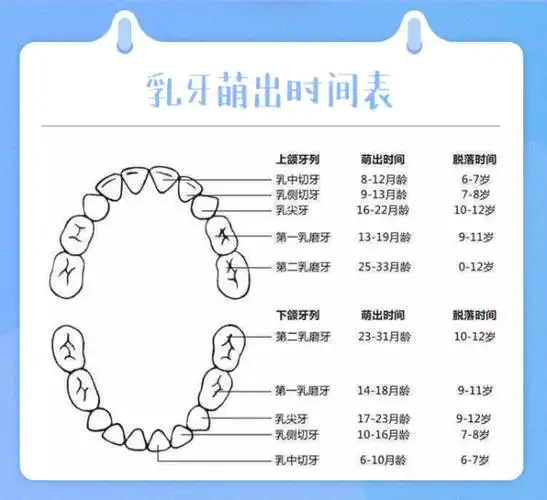 古巨基晒全家"笑容照",儿子两颗小白牙抢镜,一岁宝宝长几颗牙正常?